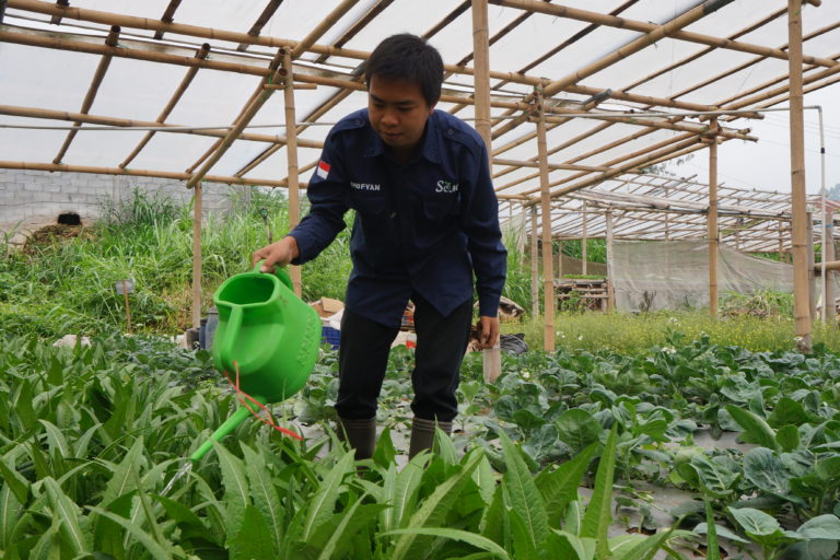Generasi muda gagas kebun organik. Foto: Lusia Arumingtyas/ Mongabay Indonesia