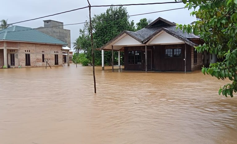 Banjir yang melanda Kalimantan Selatan. Foto: BNPB