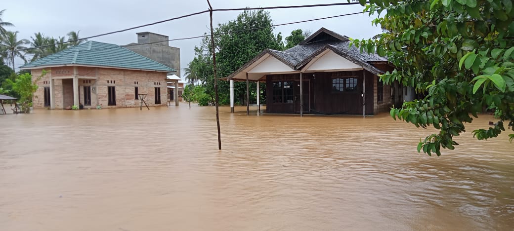 Banjir yang melanda Kalimantan Selatan. Foto: BNPB