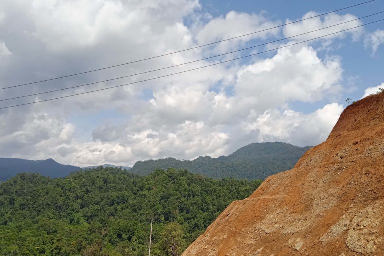 Hutan adat Sawai di Halmahera, yang terancam karena sudah ada perusahaan tambang di sana. Foto: Mahmud Ichi/ Mongabay Indonesia