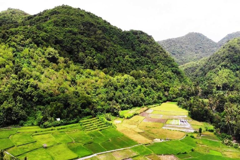 Perbukitan karst di Desa Satar Punda, Kecamatan Lamba Leda, Kabupaten Manggarai Timur,NTT yang selalu diincar investor karena memiliki kandungan batu gamping dan mangan. Foto : Ebed de Rosary/Mongabay Indonesia.