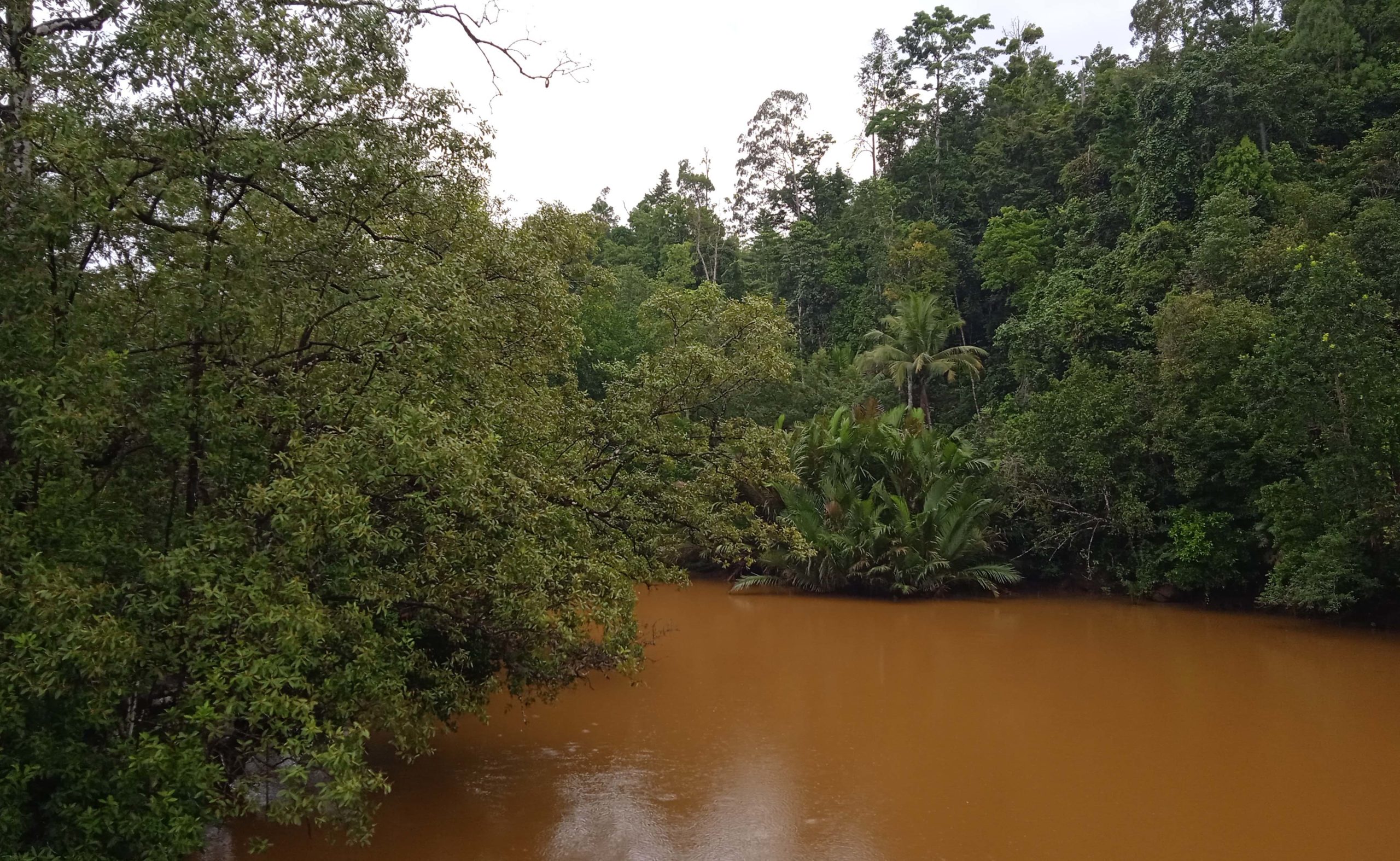Air Sungai Waleh, yang berubah keruh kemerah-merahan diduga kuar kaena operasi tambang nikel. Foto: Mahmud Ichi/ Mongabay Indonesia