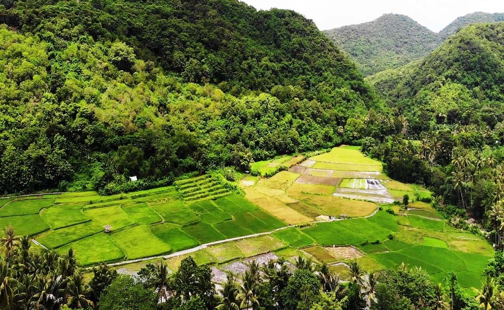 Perbukitan dan lembah dengan sawah dan kebun di Desa Satar Punda, Kecamatan Lamba Leda, Kabupaten Manggarai timur,NTT yang tampak menghijau. Foto : Ebed de Rosary/Mongabay Indonesia.