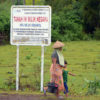 Seorang perempuan berjalan di dekat papan yang menunjukkan kawasan ini milik negara dalam kelola PT ITDC. Banyak petani di Desa Kuta dan Desa Sengkol becocok tanam di atas lahan ITDC. Foto: Fathull Rakhman / Mongabay Indonesia
