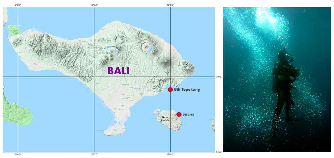 Indonesia memiliki lautan dan selat yang luas, hal ini menyebabkan indonesia