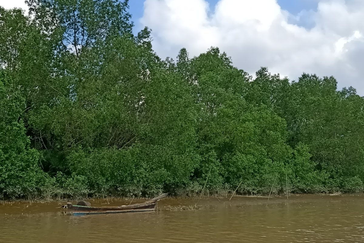Pohon-pohon-bakau-ditanam-agar-mencegah-abrasi-dan-menjaga-ejosistem-biota-perairan-yang-menjadi-salah-satu-mata-pencaharian-penduduk-di-wilayah-ekosistem-mangrove-Ayat-S-KaroKaro-scaled.jpg