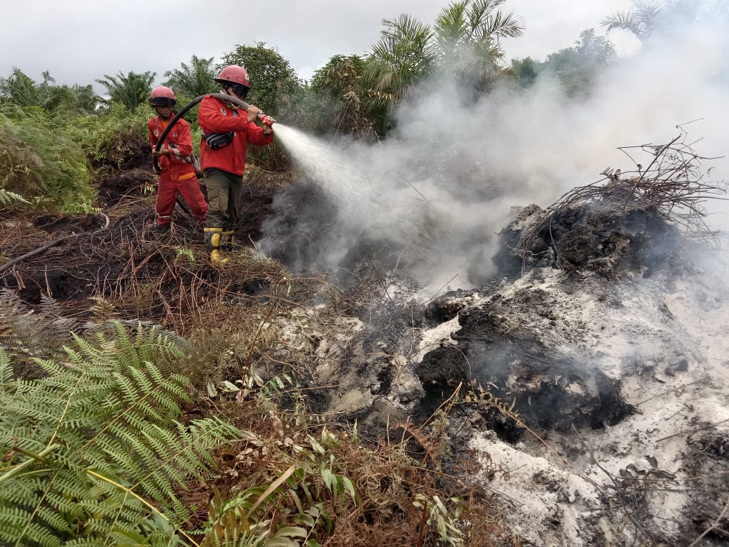 Tim-Manggala-Agni-Siak-memadamkan-api-di-Desa-Temusai-SiakBalai KSDA Riau