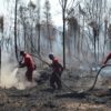 ATTACHMENT DETAILS Tim-Pemadam-Api-memadamkan-kebakaran-di-Giam-Siak-Kecil-pada-awal-Maret_Foto-kredit-BKSDA-Riau.jpeg March 15, 2021 Foto: BKSDRiau