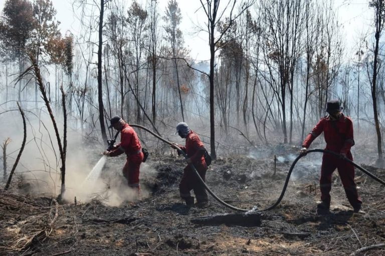 Tim Pemadam Api memadamkan kebakaran di Giam Siak Kecil pada awal Maret 2021. Foto : BKSDA Riau
