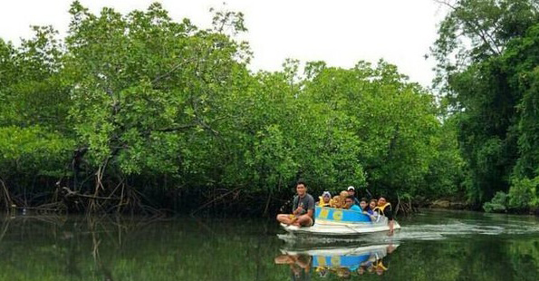 Pengunjung melintasi hambaran hutan mangrove menumpang perahu bermesin tempel. Foto : CMC Tiga Warna