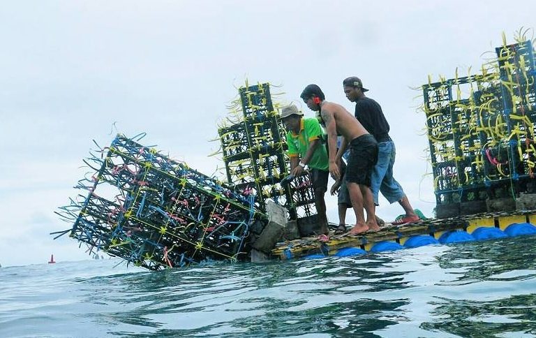nggota Yayasan Bhakti Alam Sendangbiru menurunkan apartemen ikan untuk kembang biak biota laut. (Foto : CMC Tiga Warna)