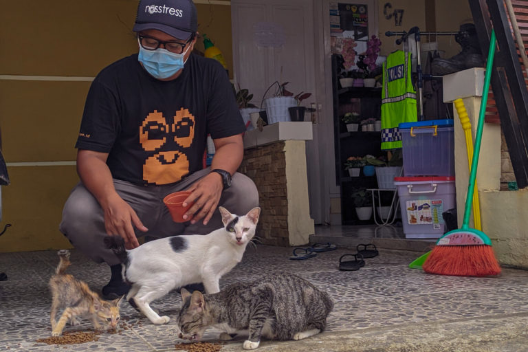 Herry bersama kucing yang akan dievakuasi di Mamuju. Foto: Agus Mawan/ Mongabay Indonesia