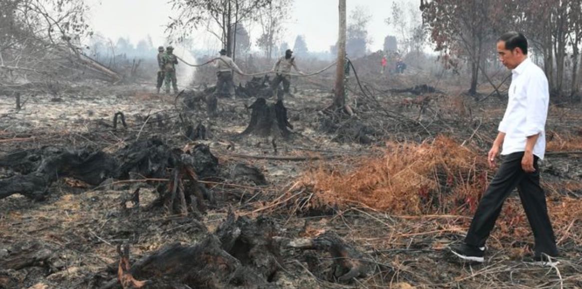 Presiden Jokowi saat mengunjungi lokasi lahan kebakaran lahan gambut. Dok: Biro Pers Setpres