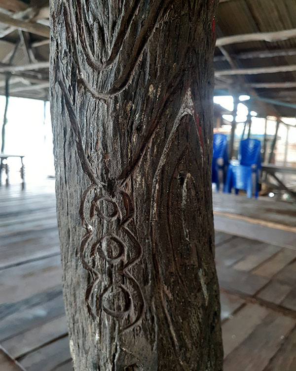 Sowang, Kayu Endemik Papua yang Digunakan Sejak Zaman ...