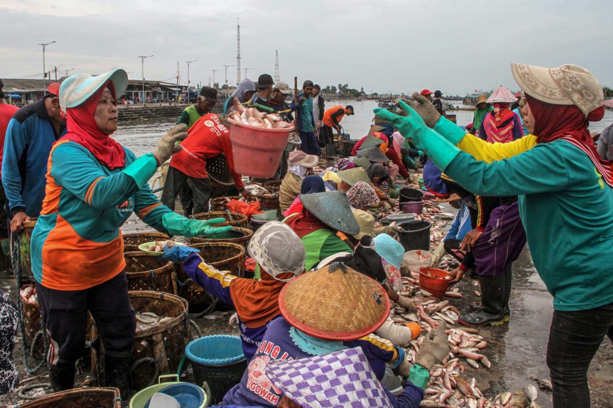 2022, Sektor Kelautan dan Perikanan Ingin Berlari Cepat - Mongabay.co