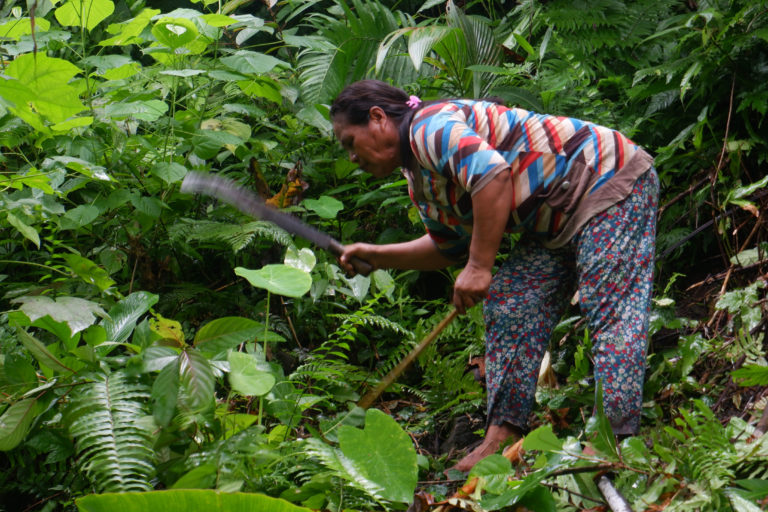 Martha, perempuan Tobaru sedang membersihkan kebun. Foto: M Ichi/ Mongabay Indonesia