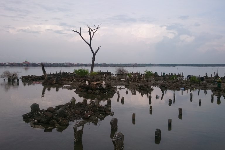 Makam di Timbulsloko, tak luput dari rendaman air laut. Foto: Nuswantoro/ Mongabay Indonesia