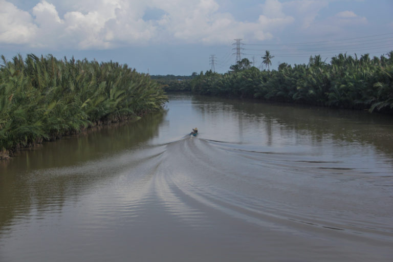 Hutan mangrove Sungai Tallo. Foto: Eko Rusdianto/ Mongabay Indonesia