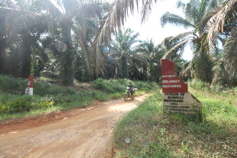 Konflik lahan antara warga SAD 113 dan perusahaan hingga kini belum usai. Foto: Fahmi