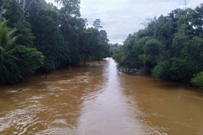 Air sungai di Weda keruh dan menguning. Kala musim hujan, sungai meluap dan kawasan hilir kebanjiran. Foto: Ajun Thanjer/ Mongbay Indonesia