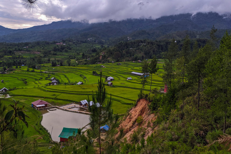 Pemandangan sebagian hutan pinus dan lahan pertanian warga di Tondok Bakaru. Foto: Agus Mawan/ Mongabay Indonesia