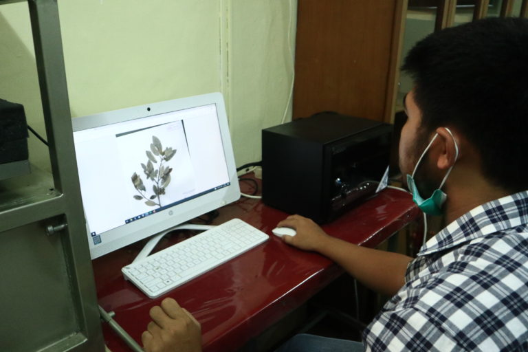 Proses digitalisasi data berupa gambar dan informasi spesimen . Foto: Jaka HB/ Mongabay Indonesia