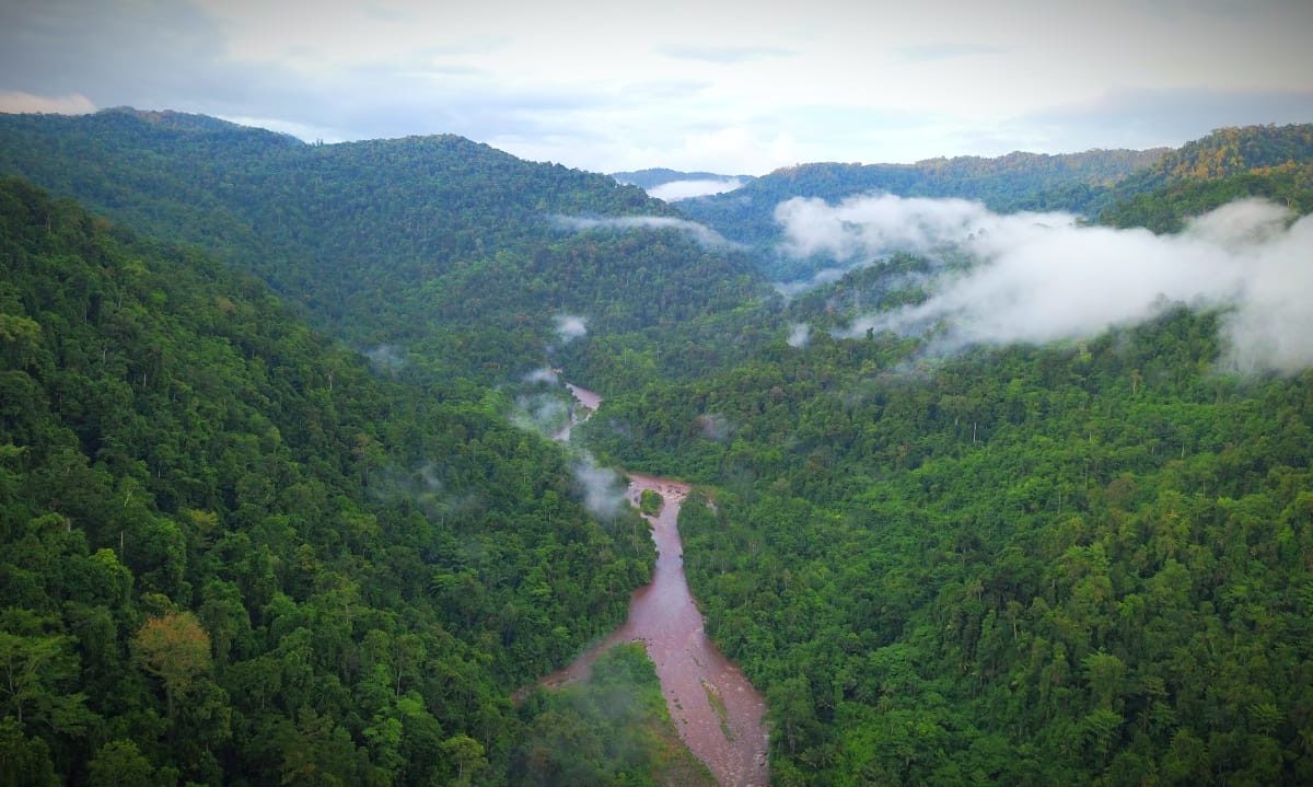 Hutan Halmahera, tempat hidup Orang Tobelo Dalam, yang terus tergerus. antara lain jadi tambang-tambang skala besar. Foto: Opan Jacky