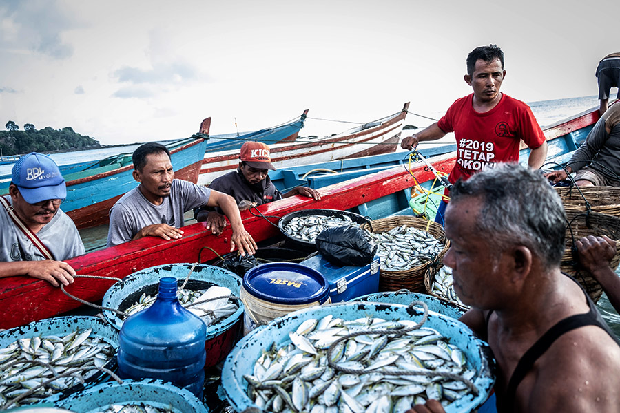 Ilustrasi. Nelayan tradisional hanya menggunakan jaring dan pancing untuk menangkap ikan. DI Teluk Palu, Sulteng, nelayan makin sulit karena ikan mulai berkurang. Foto: Nopri Ismi/Mongabay Indonesia