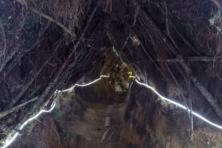 Terowongan buatan dari daun pinus di Kampung Natal. Foto: Agus Mawan/ Mongabay Indonesia