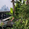 Kebun di atap, salah satu alternatif menambah ruang hijau di perkotaan. Foto: Sapariah Saturi/ Mongabay Indonesia