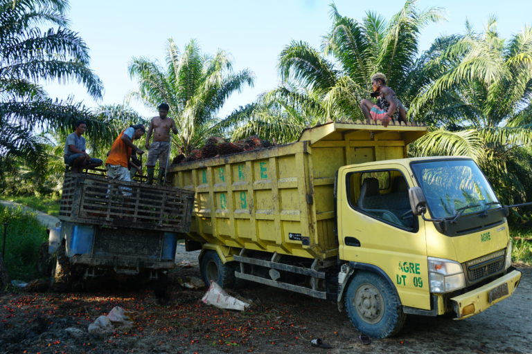Truk pengangkut tanda buah sawit seltelah panen. Foto: Asrida Elisabeth/ Mongabay Indonesia