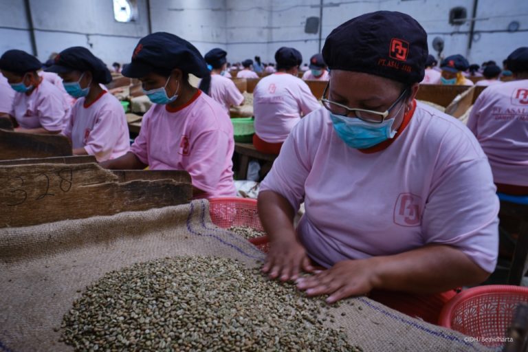 Pengecekan kualitas biji kopi petani di Amstirdam, Malang oleh PT Asal Jaya. Foto: Eko Widianto/ Mongabay Indonesia