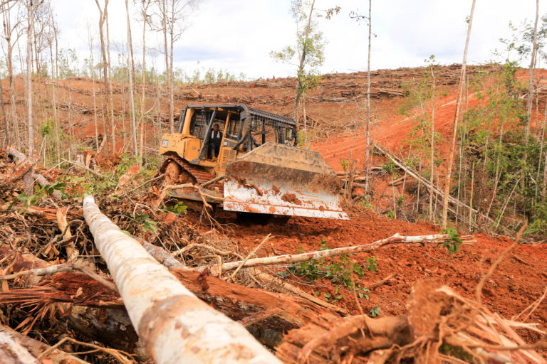 Alat berat Korindo sedang pembersihan lahan di konsesinya di Papua. Foto: Mighty Earth