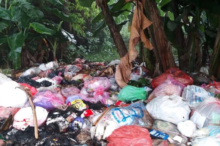 Sampahdengan sebagian besar sampah plastik sekali pakai berserakan di tepian jalan di banten. Foto: Saparian Saturi/ Mongabay Indonesia