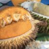 Kalimantan kaya jenis durian. Dua di antaranya, durian kuning dan durian putih. Foto: Sarah Agustiorini