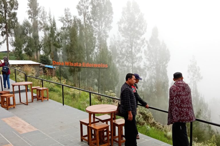 Taman Edelweiss Wonokitri yang dilengkapi kafe untuk menikmati penorama pegunungan dan juga kopi khas Gunung Bromo. 