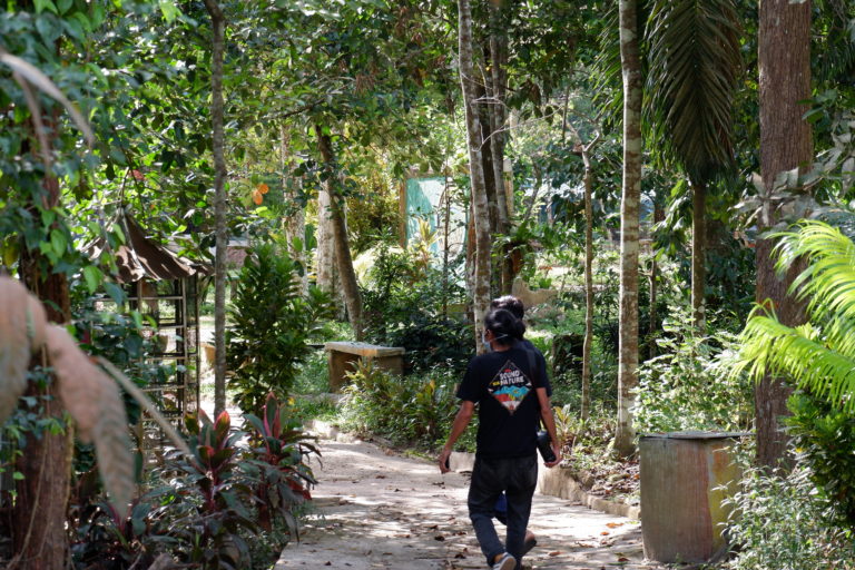 Petugas di Hutan Wisata Mata Kucing melintas di taman. Lembaga konservasi satwa ini kesulitan memberi akan satwa setelah pandemi COVID-19. Foto: Yogi Eka Sahputra/ Mongabay Indonesia