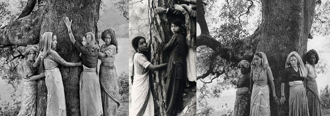 Treehugger India
