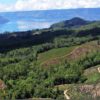 Kondisi hutan di sekitar Kawasan Danau Toba, terus tergerus. Foto: Koalisi Tutup TPL