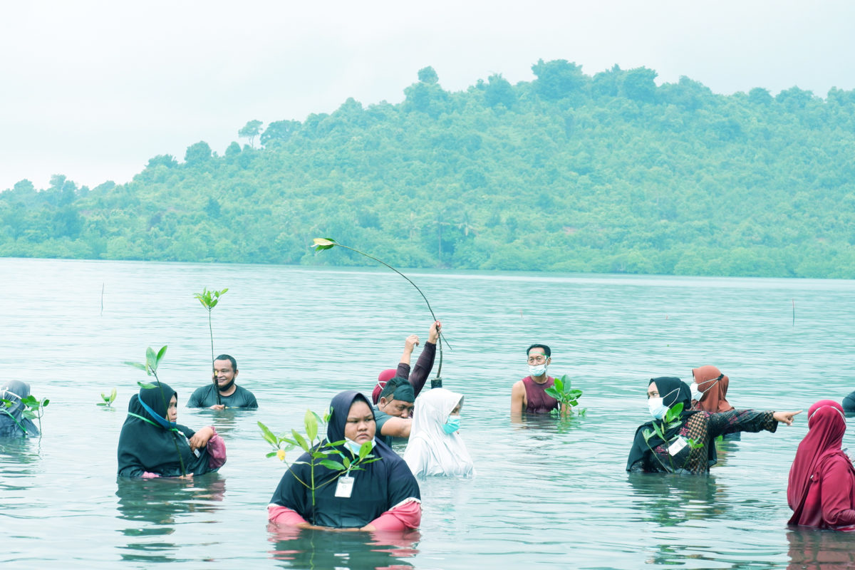 Warga antusias tanam mangrove bersama Presiden Jokowi di Batam. Foto: Yogi Eka Saputra/ Mongabay Indonesia