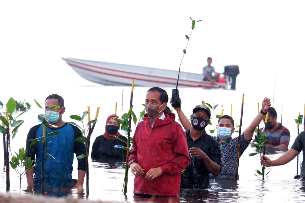 Presiden Jokowi, bersama warga usai tanam mangrove di Setokok, Batam, Kepulauan Riau. Foto: Yogi Eka Sahputra/ Mongabay Indonesia