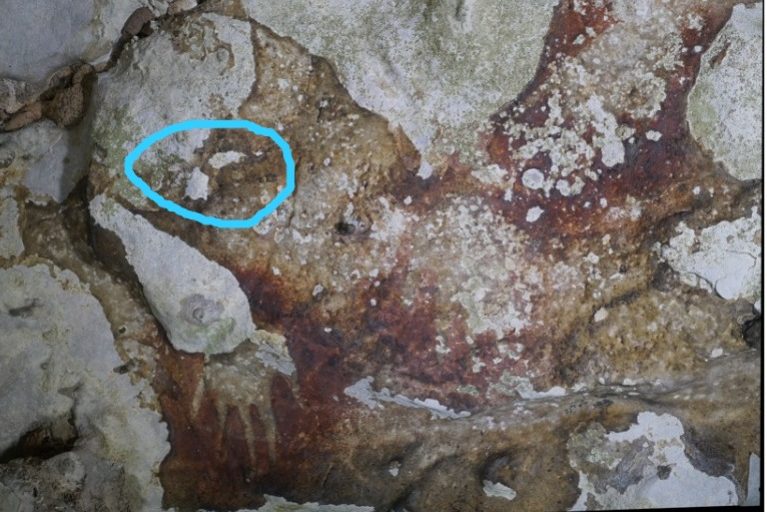 Pengelupasan (tanda lingkaran) lukisan purna di gua. Foto: EKo Rusdianto/ Mongabay Indonesia