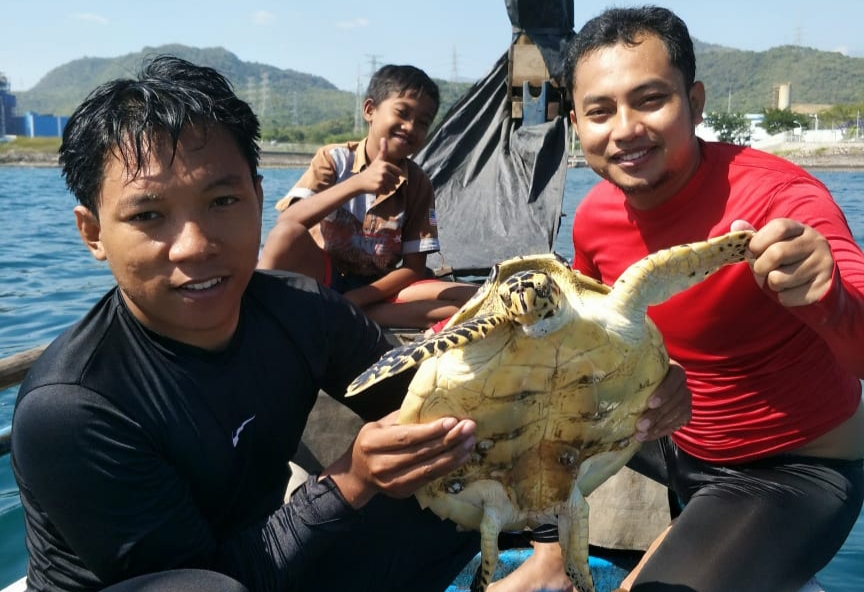 Pelepasliaran penyu yang tak senjaga tersangkut pancing di Kabupaten Probolinggo, tahun ini. Foto: Dinas Kelautan dan Perikanan Kabupaten Probolinggo