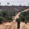 Persoalan lahan antara perusahaan kayu dan warga Rantau Kasih sudah ada titik penyelesaian? Foto: Suryadi/ Mongabay Indonesia