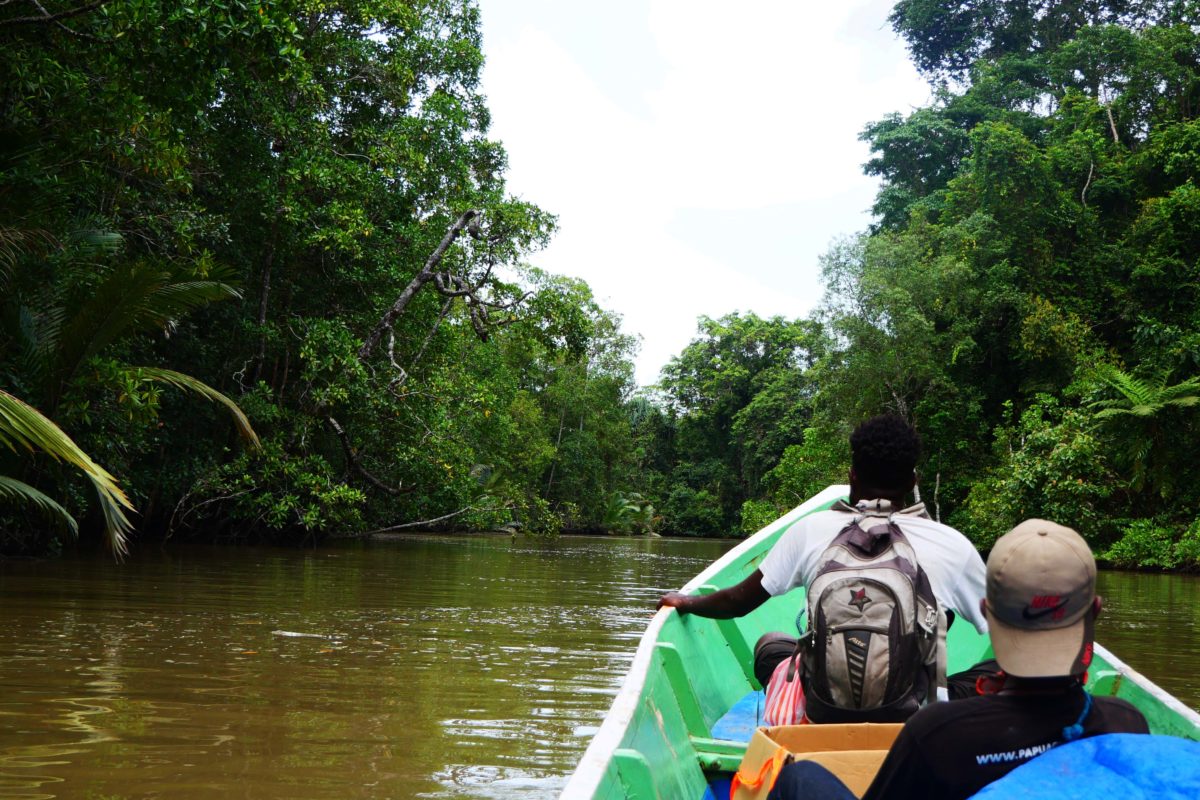 Sungai dan hutan di wilayah adat Sorong, Papua Barat. Bupati Sorong mencabut izin perusahaan sawit di wilayah ini dan mengembalikan ke masyarakat adat. Foto: Asrida Elisabeth/ Mongabay Indonesia