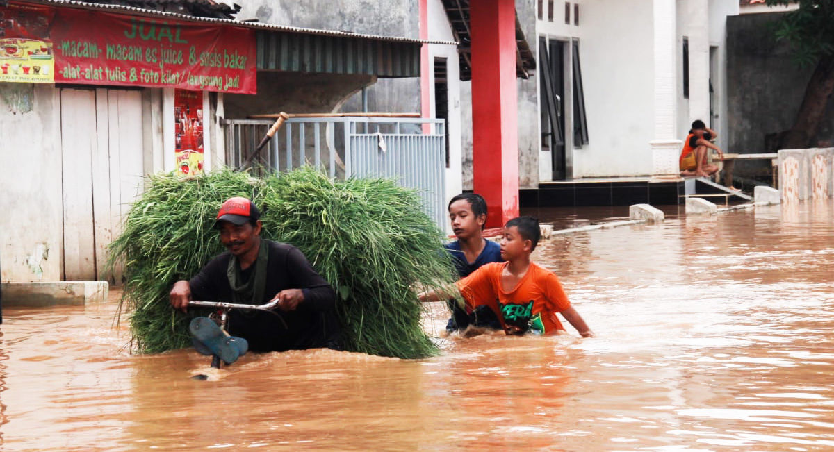 Bencana metrohidrologi seperti banjir dipastikan akan meningkat sebagai akibat perubahan iklim. Tampak beberapa anak mendorong pencari rumput melintasi banjir di Pasuruan. Foto: A. Asnawi/ Mongabay Indonesia