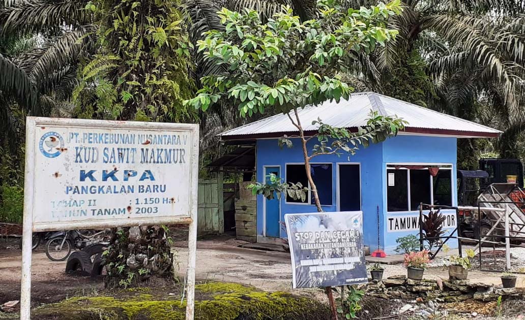 Pos jaga kebun Koperasi Sawit di Kampar. Foto: Suryadi/ Mongabay Indonesia