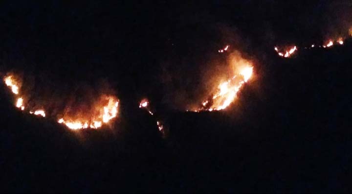 Kobaran api mengular di Taman Nasional Bromo, Tengger, Semeru. Foto: istimewa
