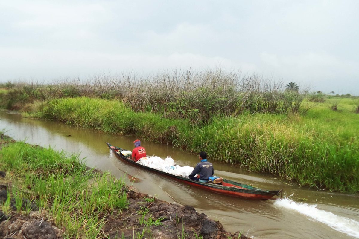 Petani menuju kebun ubi jalan dan tanaman lain di Nagara, dengan menggunakan perahu tanpa mesin. Foto: M Rahin Azra/ Mongabay Indonesia