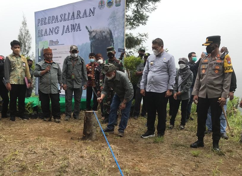 Direktur Jenderal Konservasi Sumber Daya Alam dan Ekosistem, Wiratno mengayunkan golok memotong seutas tali tambang untuk melepas Elang Jawa (Nisaetus bartelsi). (Eko Widianto).